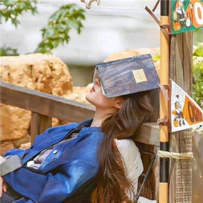 乐高迪士尼公主：城堡历险