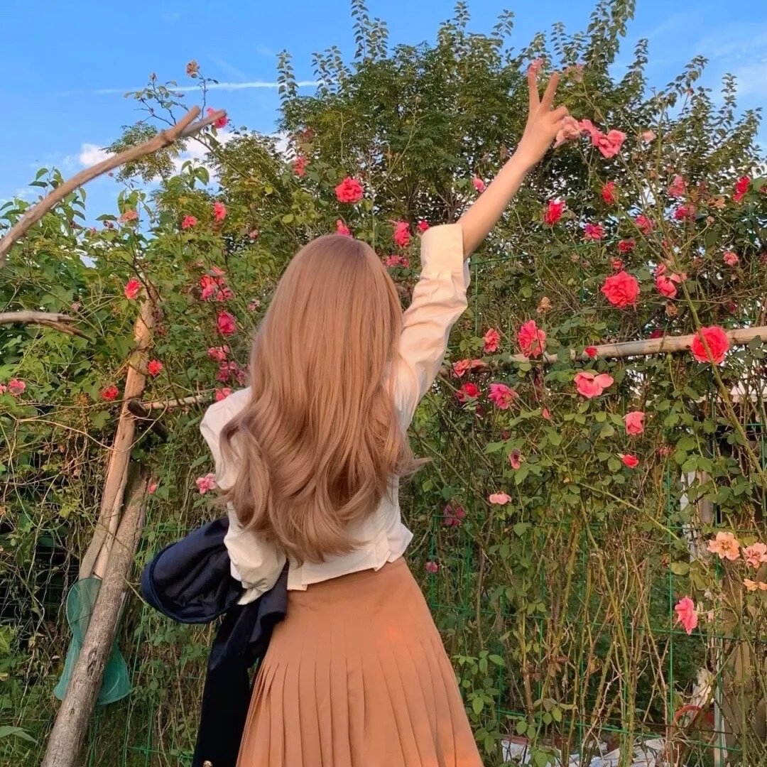 北京卫视养生堂